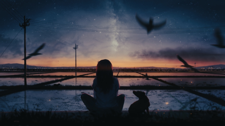 the-sunset-and-solitary-flight-fly-together-ie (2)